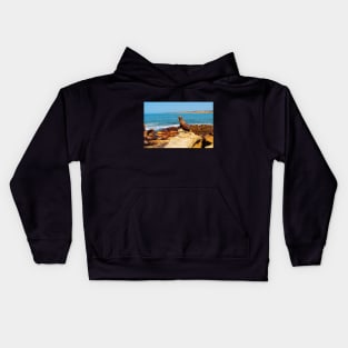 San Diego La Jolla Cove Sea Lions California USA Photography Kids Hoodie